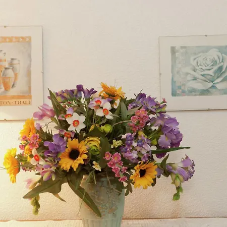 Appartement Sonne 1 *